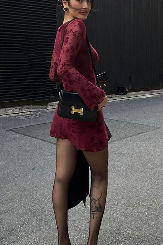 Mesh Long Sleeve Bodycon Dress