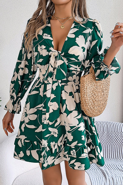 Print V-neck Lace-up Long-sleeve Elastic Waist Mini Dress