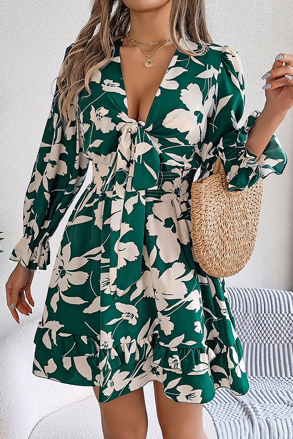 Print V-neck Lace-up Long-sleeve Elastic Waist Mini Dress