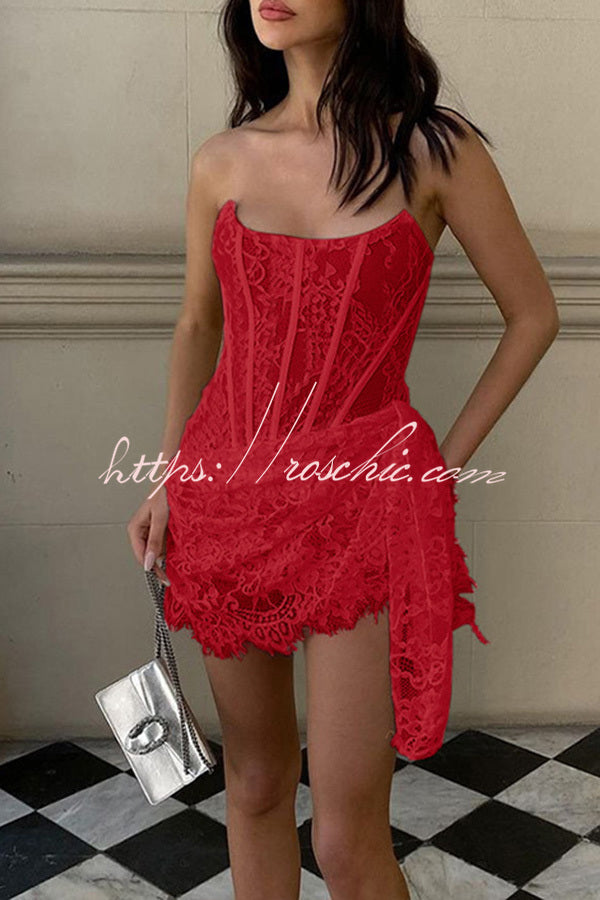 Amazing Lace Mesh Off Shoulder Slightly See Through Slim Fit Mini Dress