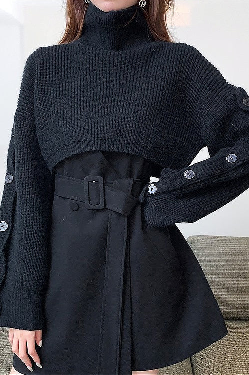 Turtleneck Crop Knit Sweater