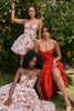 Italian Rose Print Tulle Mini Dress