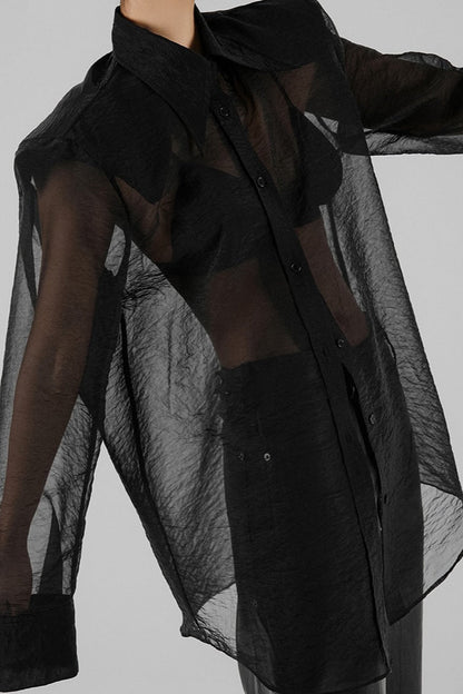 Mesh Sheer Long-sleeve Loose Blouse