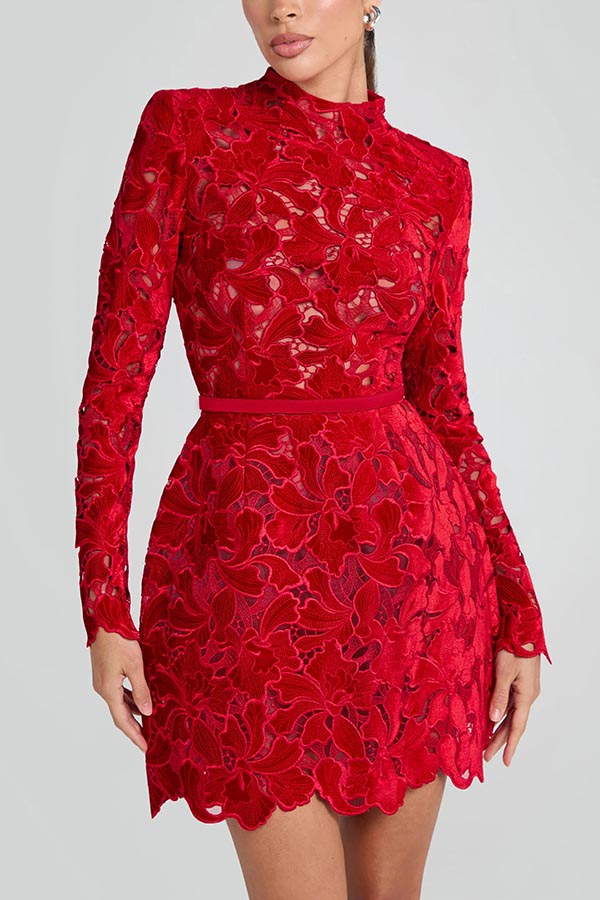 Lydia Embroidered Lace Long Sleeve Belt Tulip Shaped Mini Dress