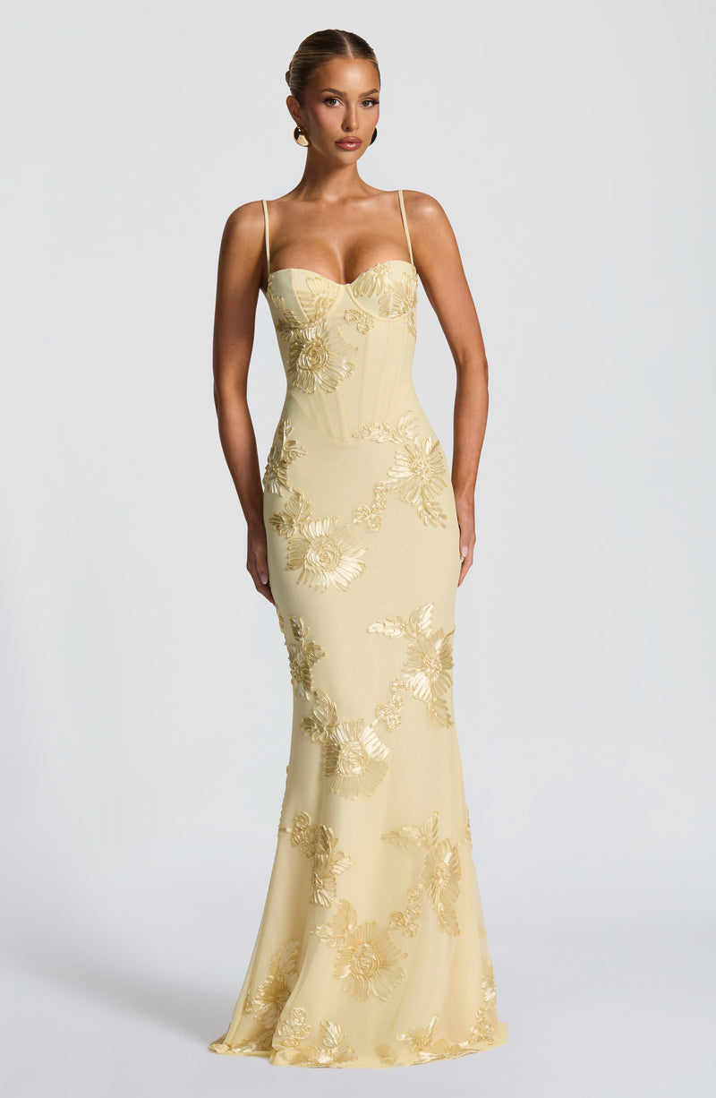 Velour Maxi Dress