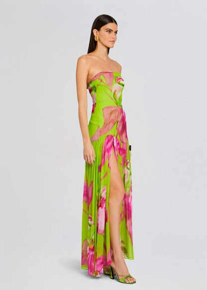Nydia Printed Strapless Maxi Dress