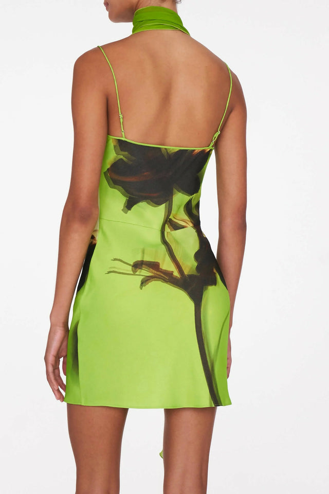 Lesley Print Draped Scarf Mini Dress