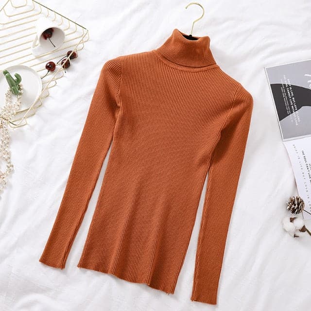 Turtelneck Soft Slim Sweater