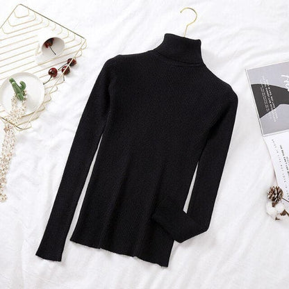 Turtelneck Soft Slim Sweater