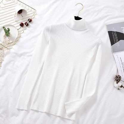 Turtelneck Soft Slim Sweater