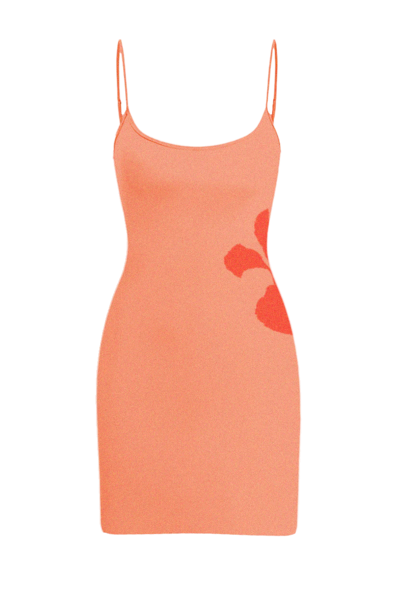 Mali Knit Mini Dress